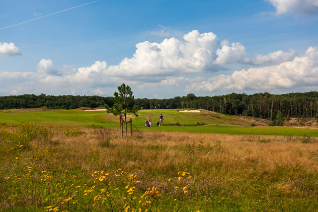 LINKS VALLEY GC 43