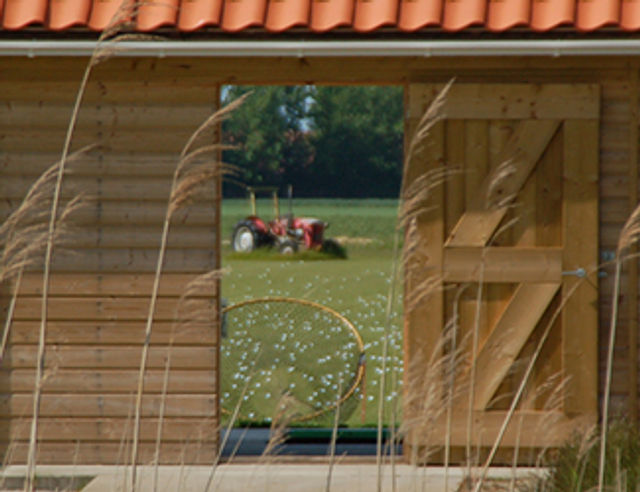 Golfen flevoland swifterbant