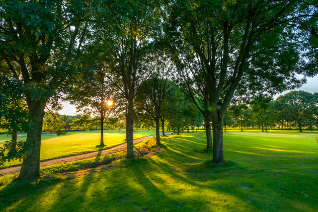 Parkbaan zaanse golf