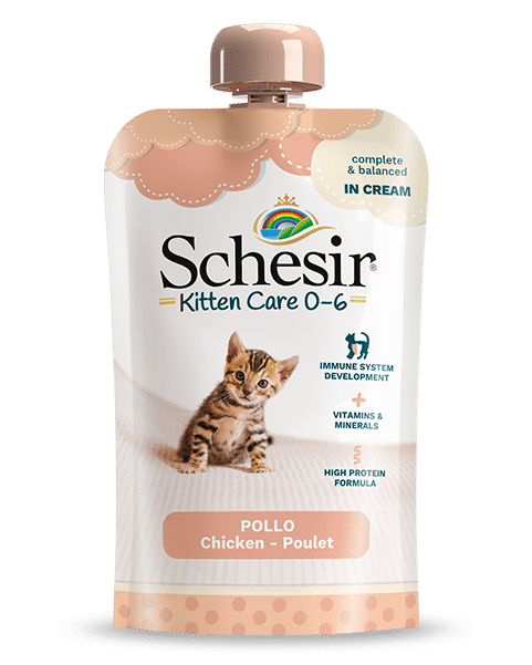 Schesir Kitten Care 0-6 Pouch Chicken Cream 150g