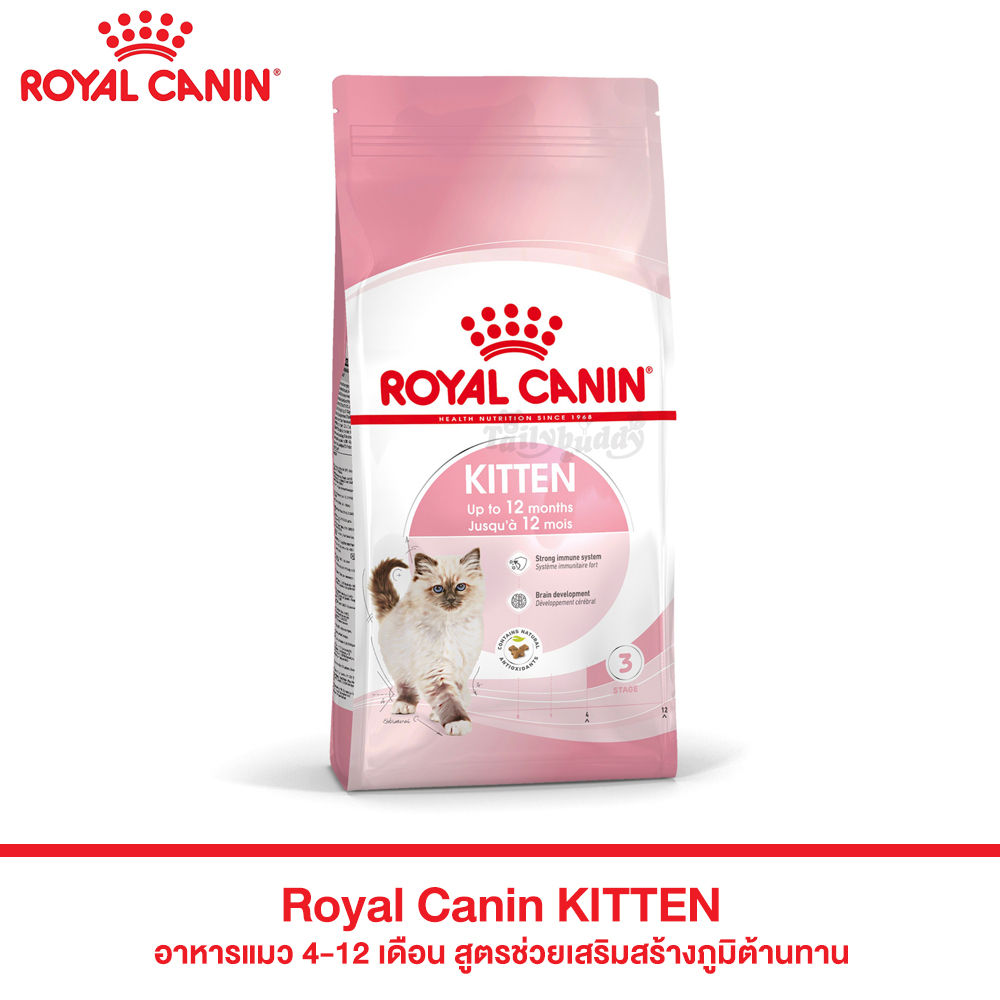 Royal Canin Kitten Dry Food