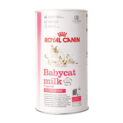 Royal Canin Baby Cat Milk 300g