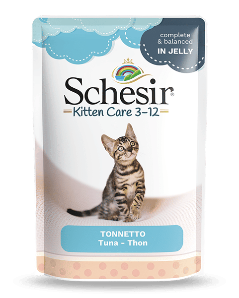 Schesir Kitten Care 3-12 Cat Pouch Tuna in Jelly 85g