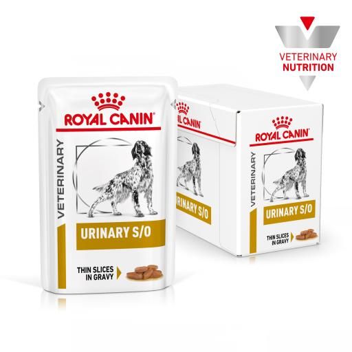 Royal Canin Urinary S/O For Dog 100g