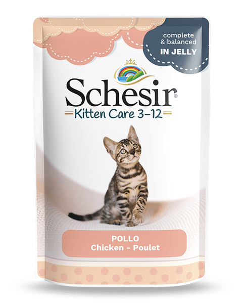 Schesir Kitten Care 3-12 Cat Pouch Chicken in Jelly 85g