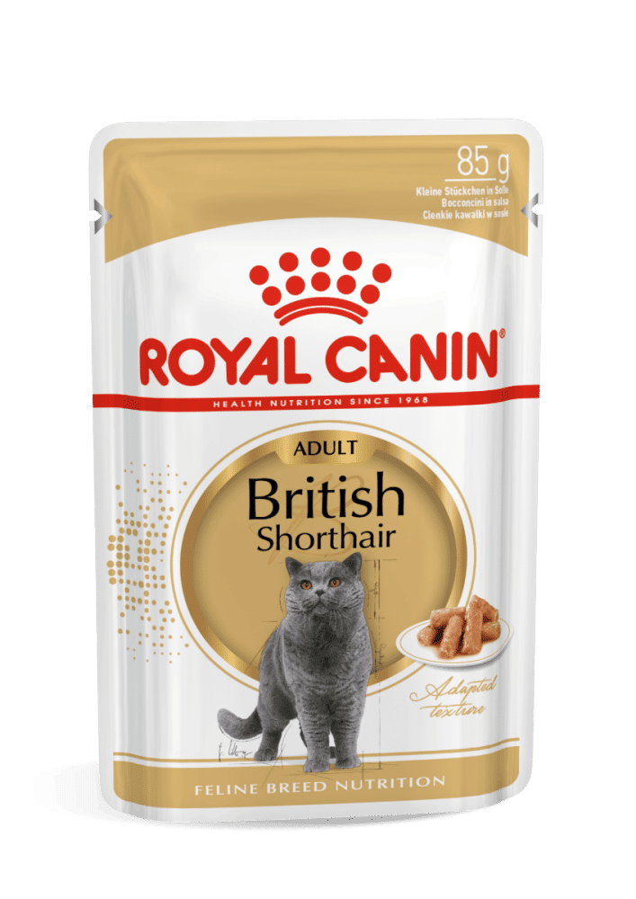 Royal Canin British Shorthair 85g