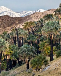 Top 10 Tourist Attractions in Palm Springs, California