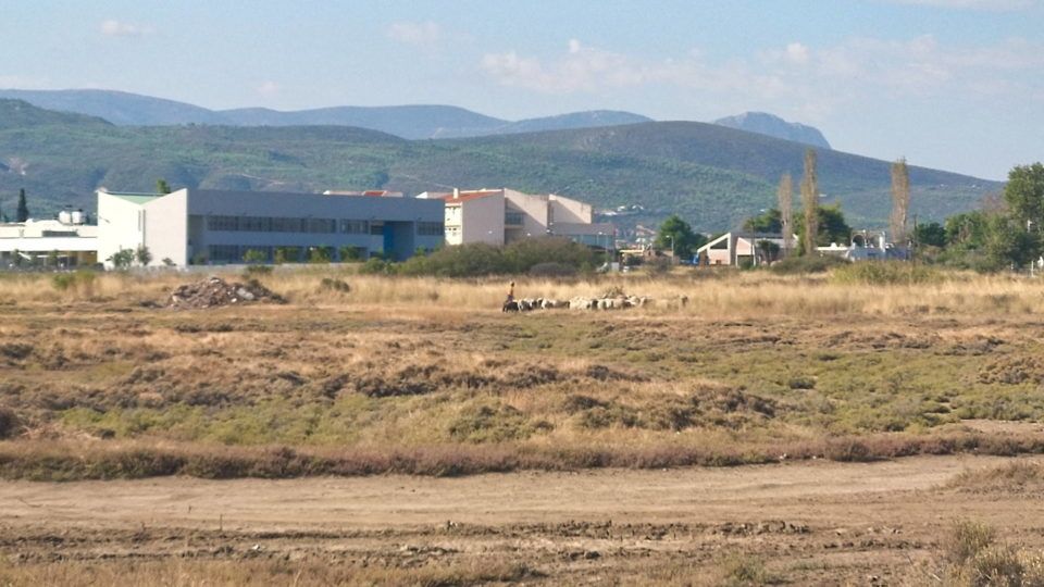 Βοσκώντας δίπλα στα σχολεία