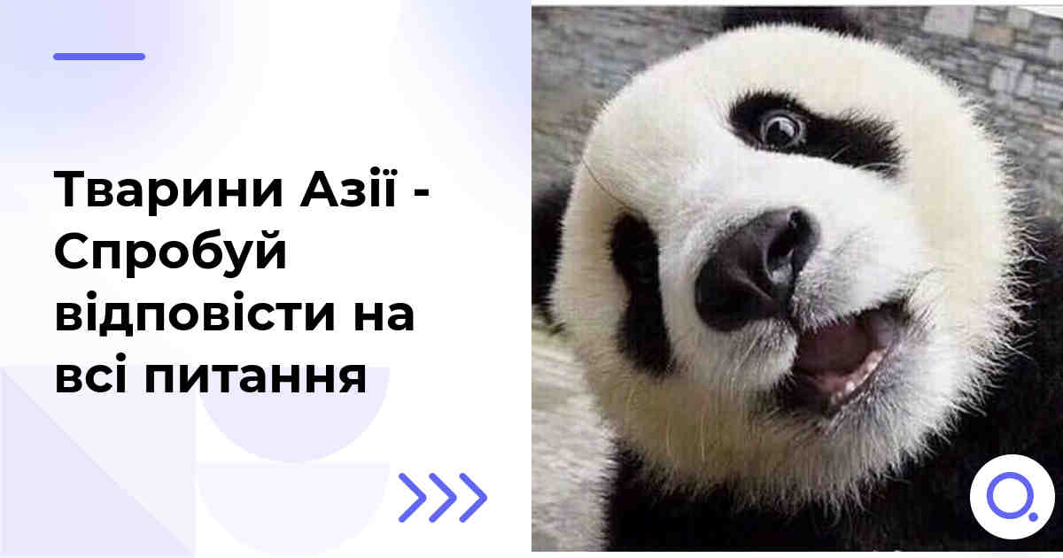 Тварини Азії - Спробуй відповісти на всі питання