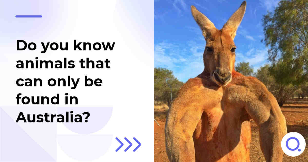 Do you know animals that can only be found in Australia?