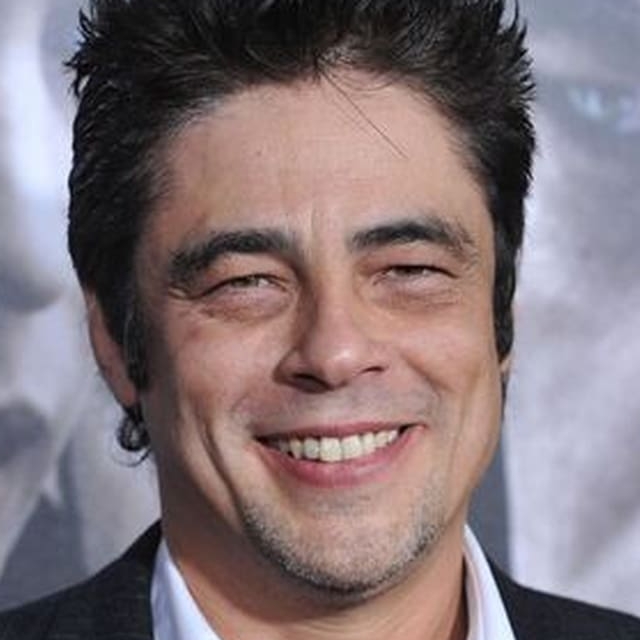 Do you remember all the Benicio del Toro's movies?