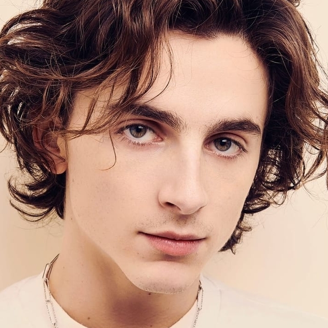 Do you remember all the Timothee Chalamet's movies?