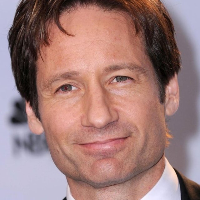 Do you remember all the David Duchovny's movies?