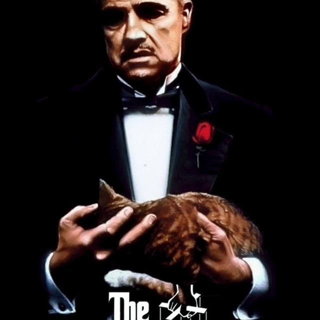 Do you remember all the Mafia & Gangster movies?