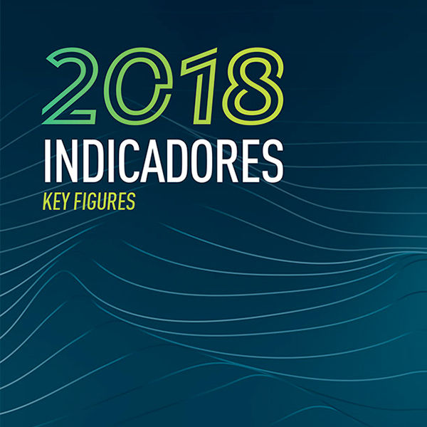 Anuário Estatístico de Segurança Rodoviária - Indicadores 2018