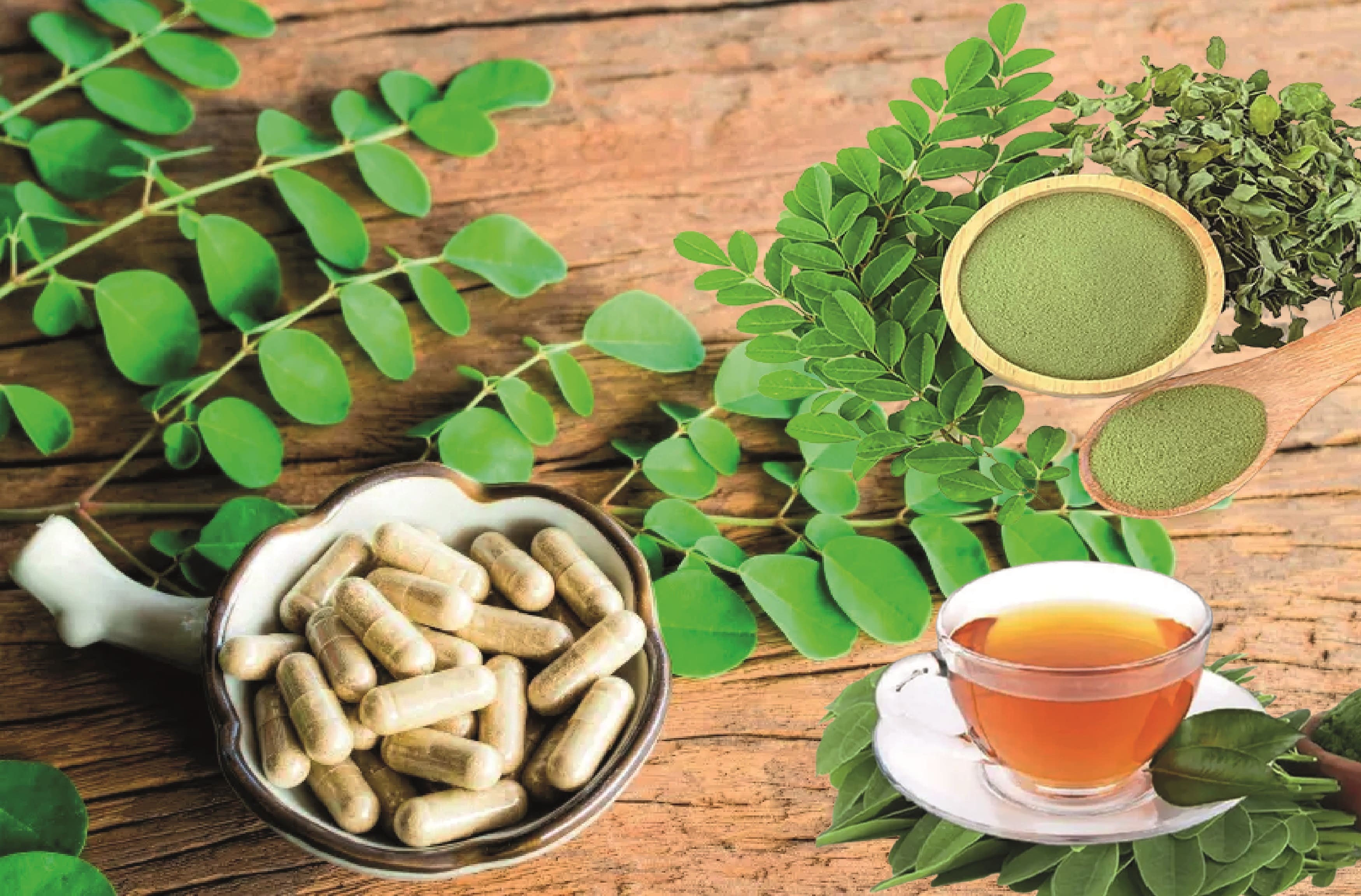 Organic Moringa Powder