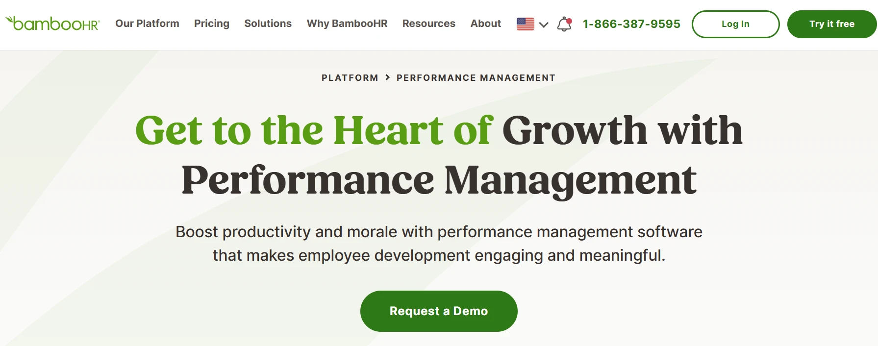 bamboohr