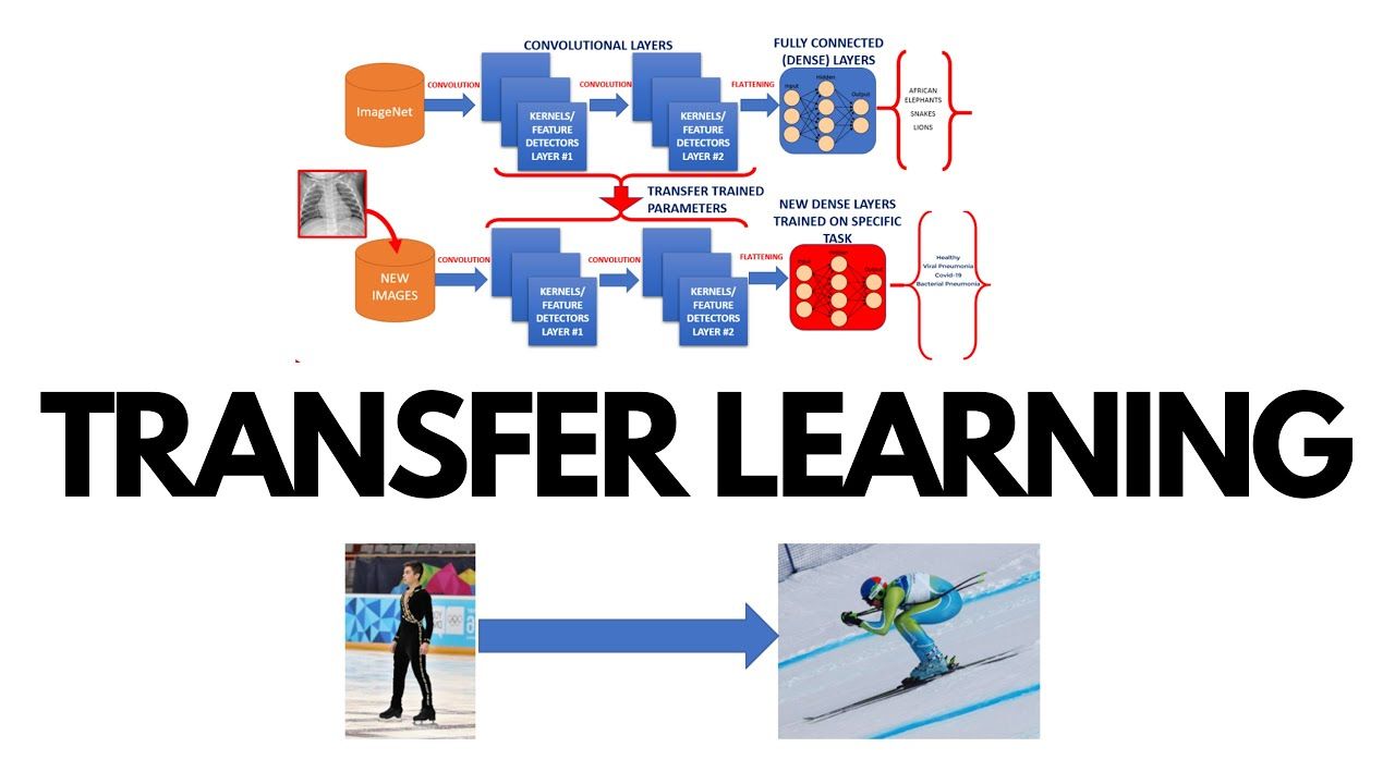 Transfer Learning