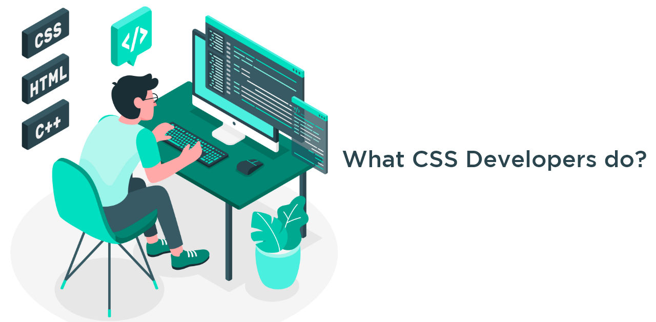 What do CSS Developers do?