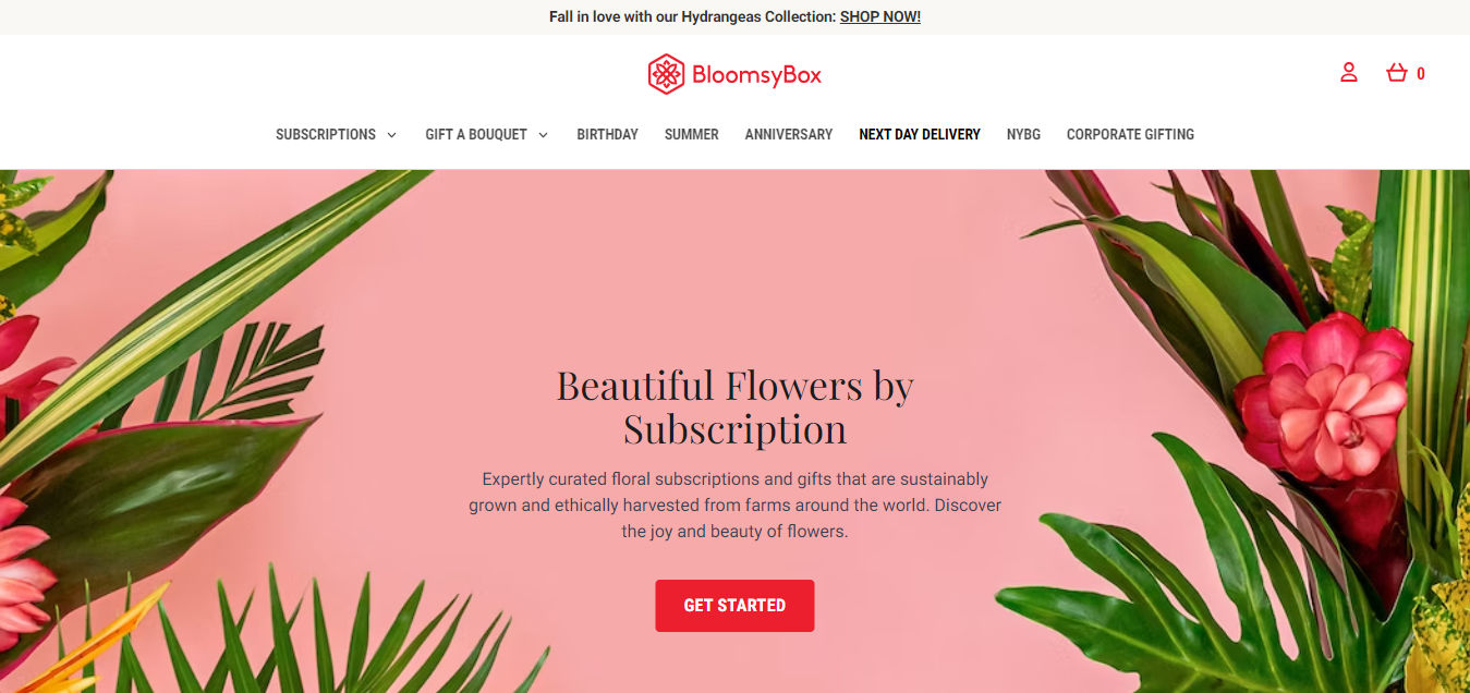 BloomsyBox