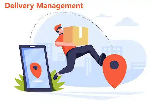 How a Delivery Management System can Help