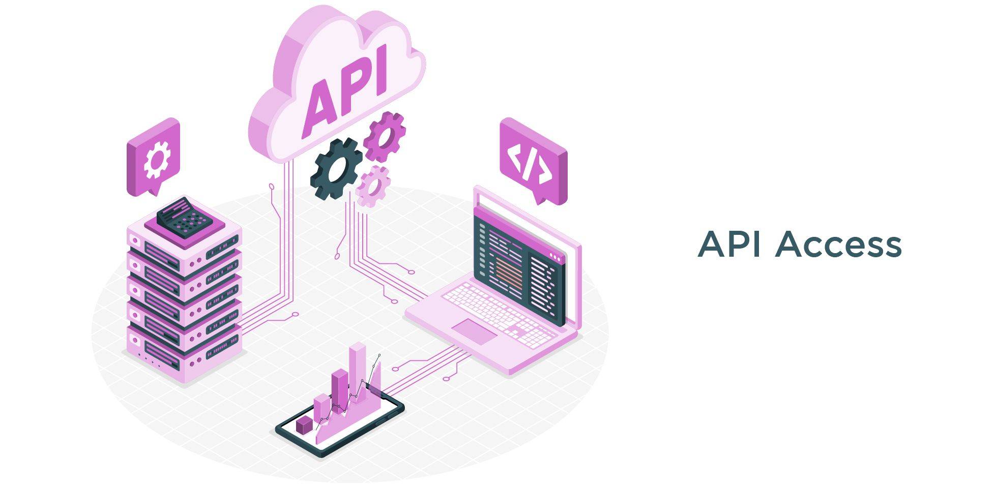 API Access