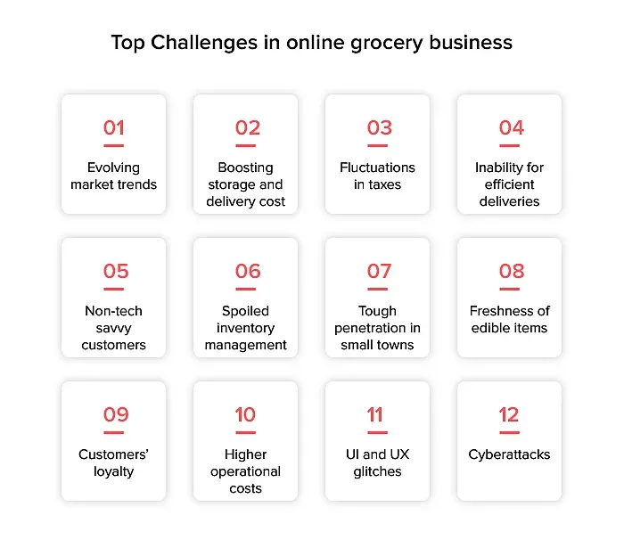 Potential Challenges in Online Grocery Delivery