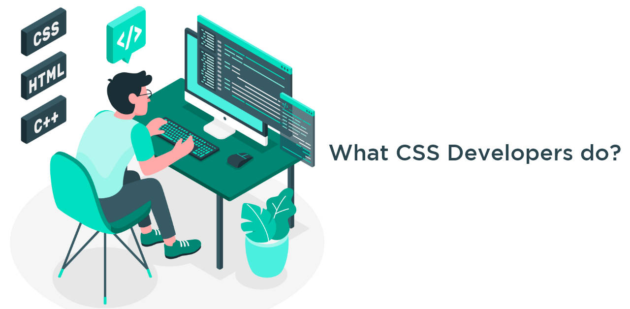 What do CSS Developers do?