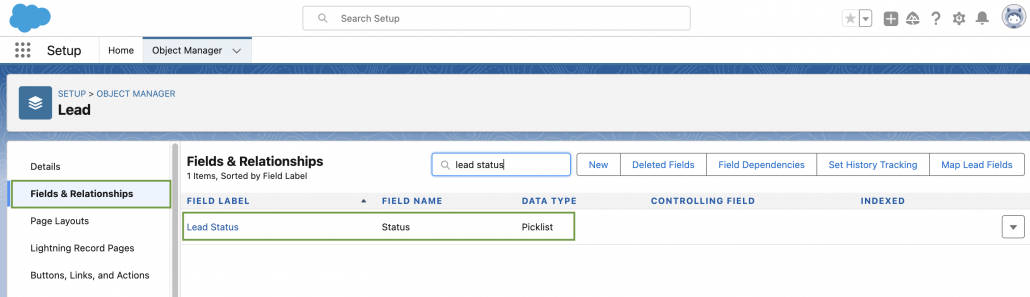 Search for "Lead Status" on the "Fields & Relationships" tab in Salesforce.