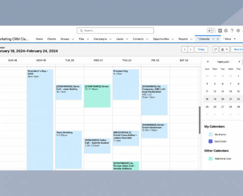 Salesforce Calendar showing 10 appointments with their confirmation status noted in the event title.