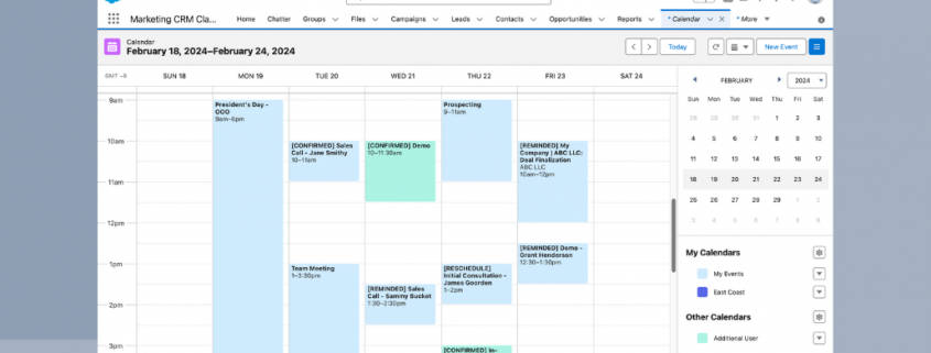 Salesforce Calendar showing 10 appointments with their confirmation status noted in the event title.