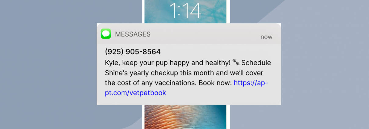 SMS marketing text message promoting special at a veterinarian's office