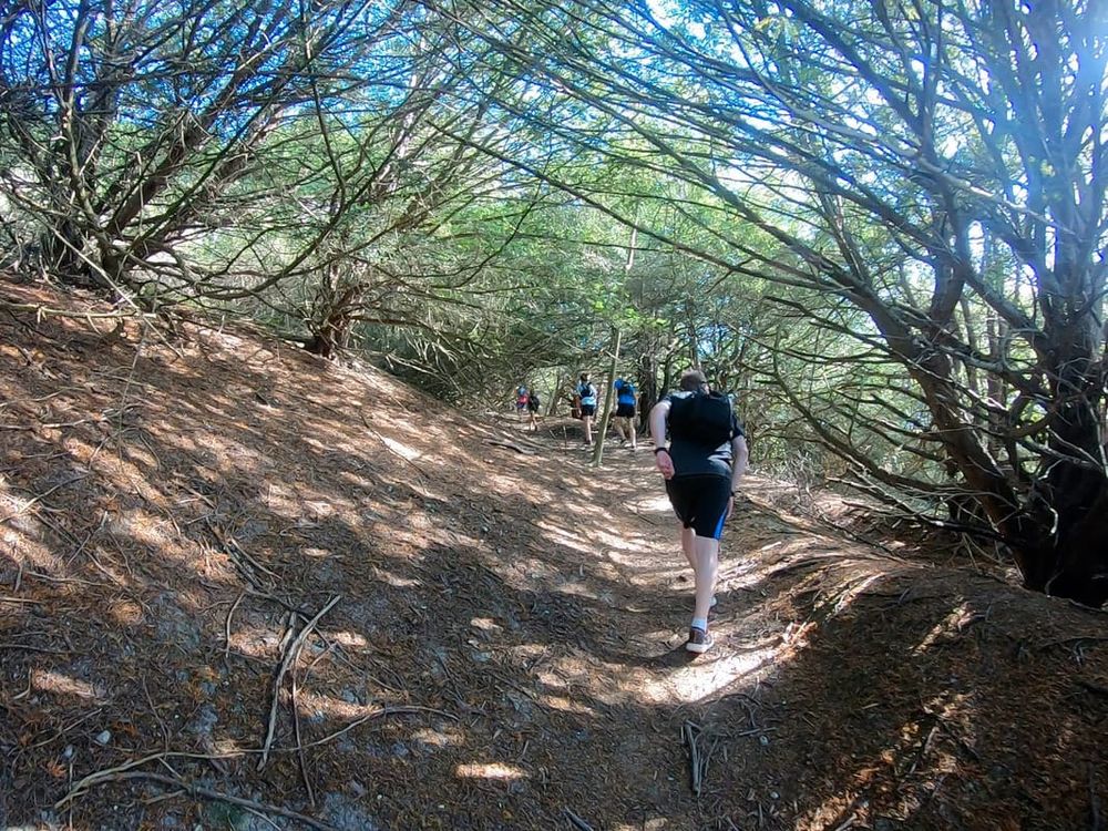 Box Hill Vertical KM - November