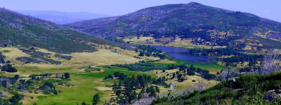 The Peak 50K, Marathon & Half Marathon
