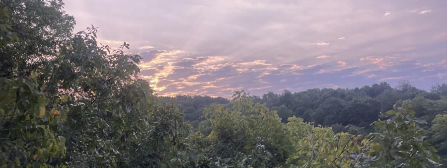 Royal Oaks Sunrise Trail Race