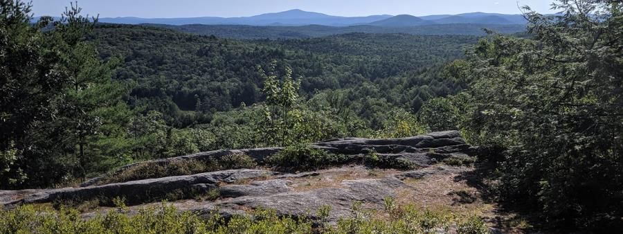 Pisgah Mountain Trail Races