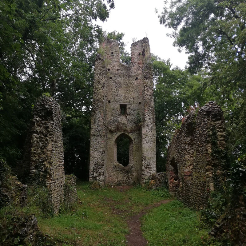 Summer 10k Series - Saxlingham Nethergate