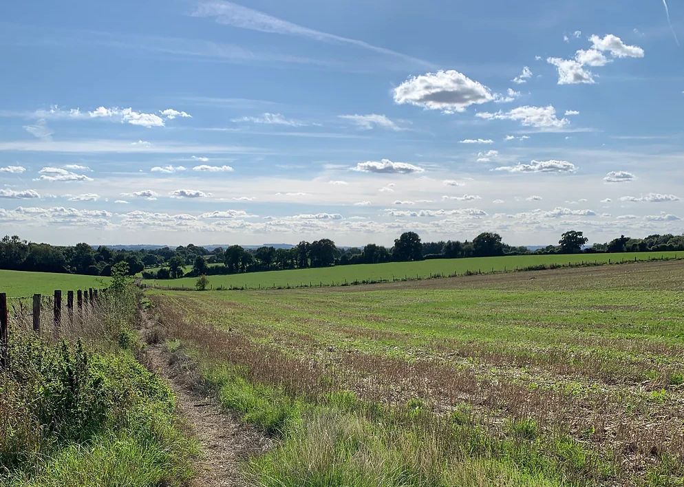 10k Guided Run - Petersfield