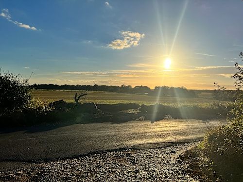 Thames Path Trail Run (Windsor)