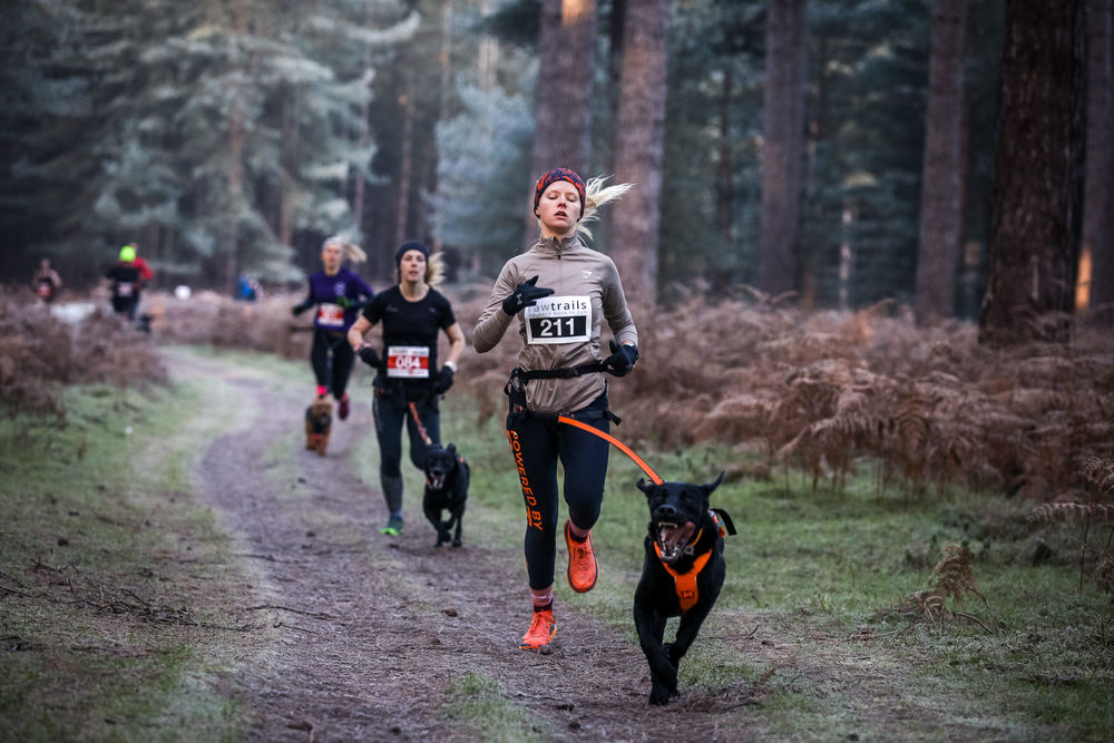 High Lodge Canicross 5k Series - Race 1
