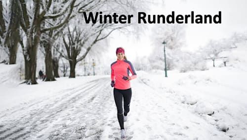 PHOENIX - Winter Runderland