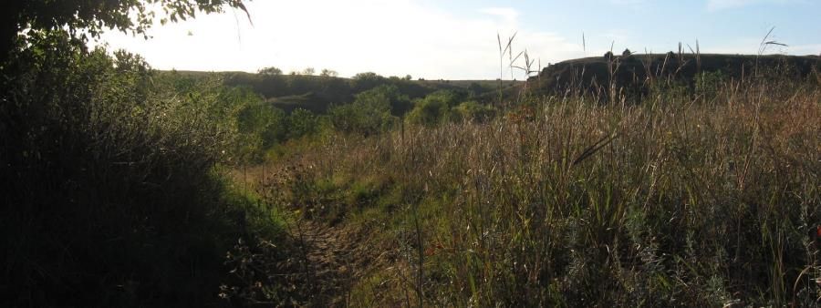 Horsethief Canyon Trail Run 10K