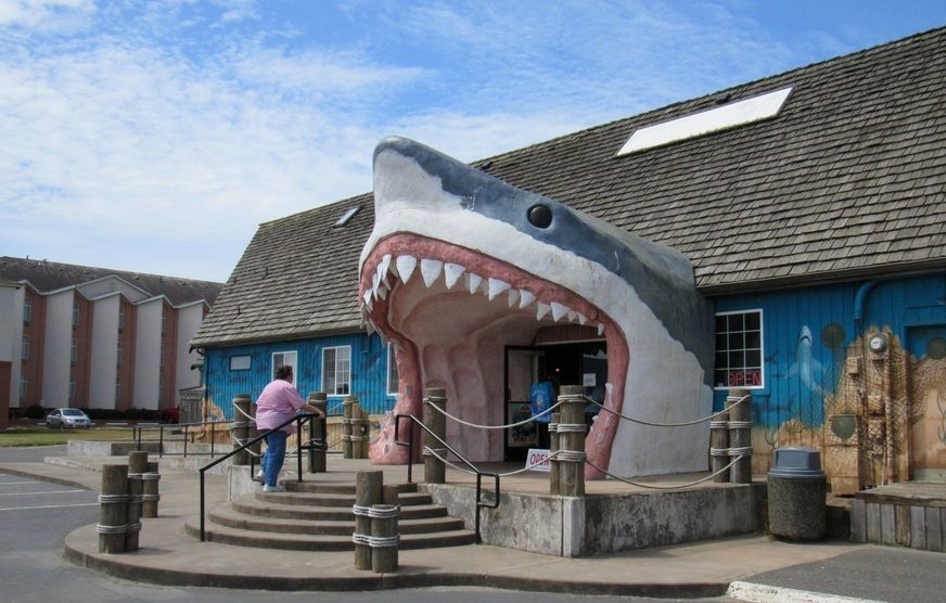 Sharky's Ocean Shores Triathlon