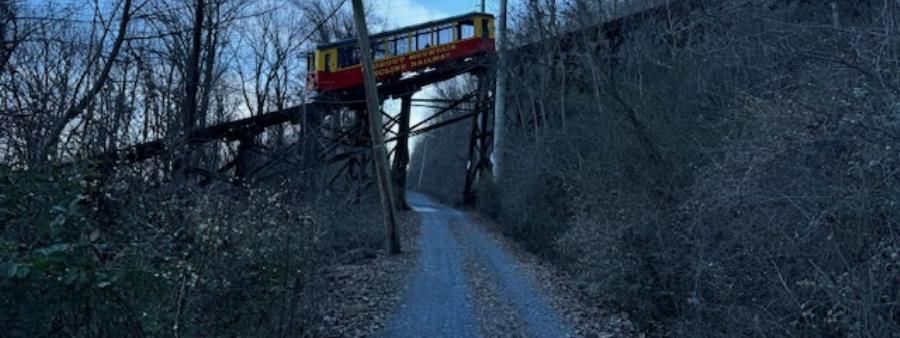 The Guild 7 Trail Race