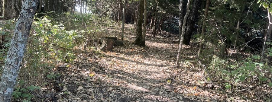 Tour de Trail: Big Bull Creek Park