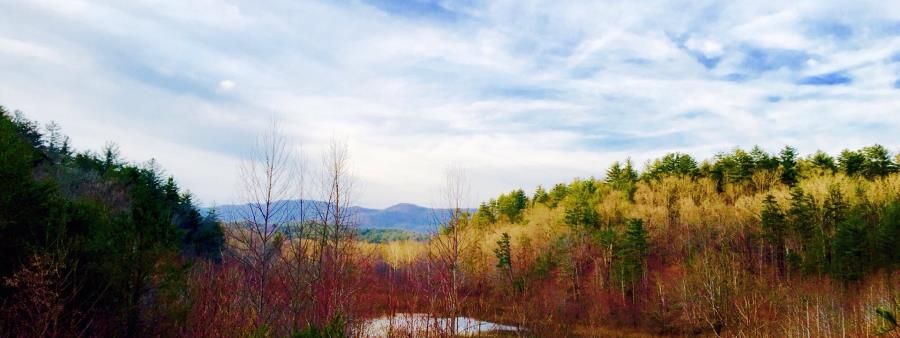 The Bull Mountain Epic