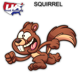 Squirrel 5K, 10K, & Half Marathon at City Island, Harrisburg, PA