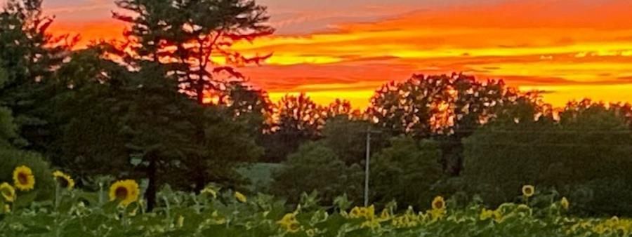 Quail Ridge Farm Backyard Ultra