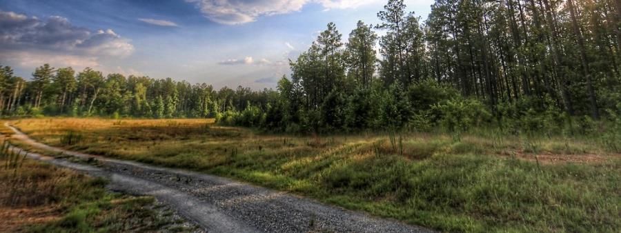 Mental Health Ultra Marathon