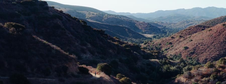 Cheeseboro Canyon Trail Run